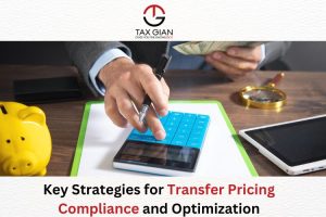 Key Strategies for Transfer Pricing Compliance and Optimization