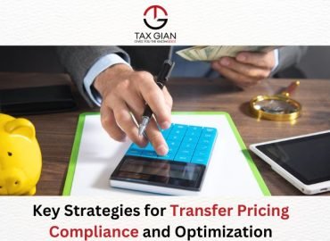 Key Strategies for Transfer Pricing Compliance and Optimization