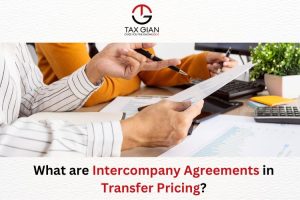 What are Intercompany Agreements in Transfer Pricing?