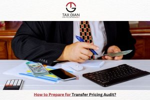 How to Prepare for Transfer Pricing Audit?