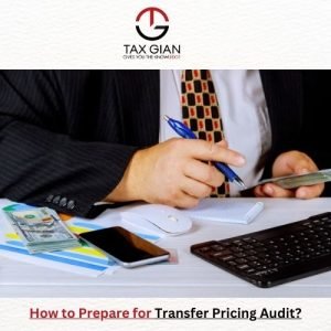 How to Prepare for Transfer Pricing Audit?