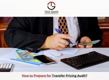 How to Prepare for Transfer Pricing Audit?