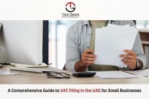 A Comprehensive Guide to VAT Filing in the UAE for Small Businesses