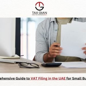 A Comprehensive Guide to VAT Filing in the UAE for Small Businesses